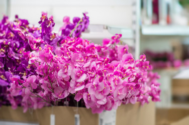 Similar image 1355251