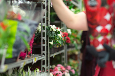 Similar image 1355256