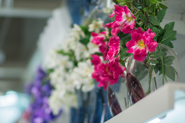 Similar image 1355286