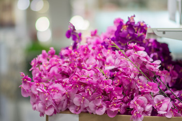 Similar image 1355298