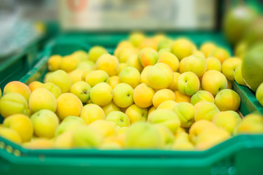 Similar image 1355306