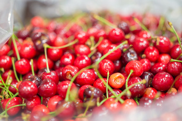 Similar image 1355307