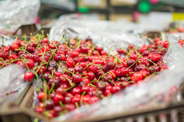 Similar image 1355308