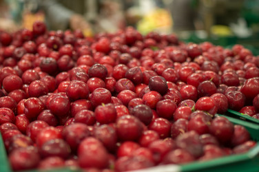 Similar image 1355324