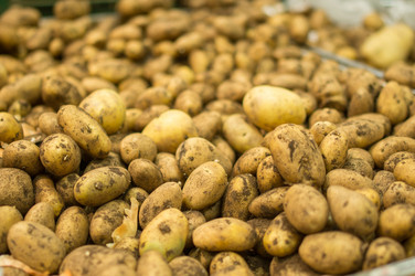 Similar image 1355326