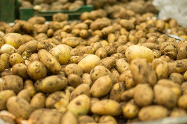 Similar image 1355327