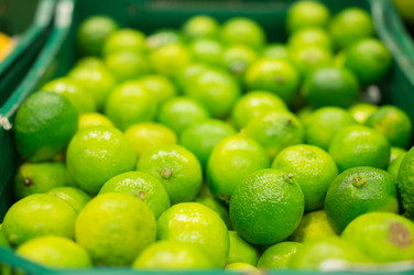 Similar image 1355332