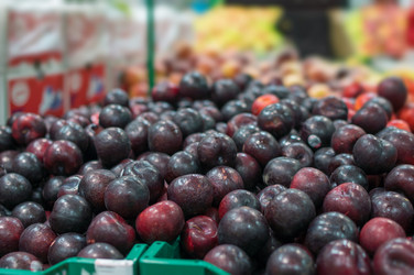 Similar image 1355336