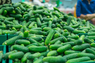 Similar image 1355337