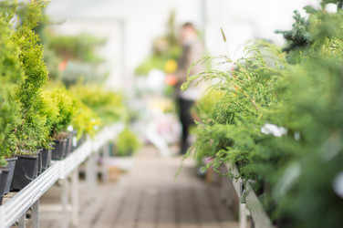 Similar image 1355351