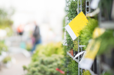 Similar image 1355352