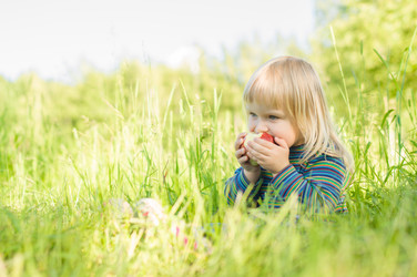 Similar image 1355411