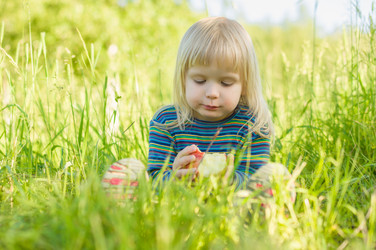 Similar image 1355412