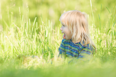 Similar image 1355417