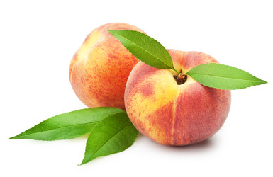 Similar image 1355548