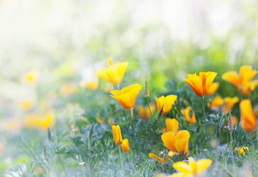 Similar image 1355551