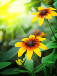 Similar image 1355553