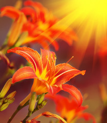 Similar image 1355554