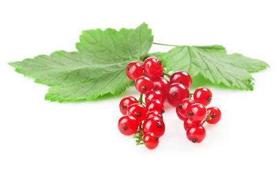 Similar image 1355556