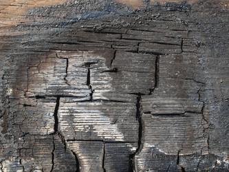 Similar image 1355564