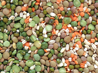 Similar image 1355732