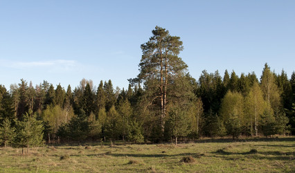 Similar image 1355803