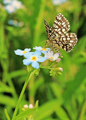 Similar image 1355806