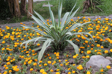 Similar image 1355836