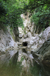 Similar image 1355838