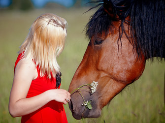 Similar image 1355866