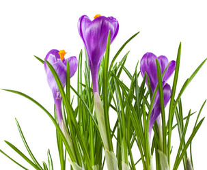 Similar image 1355888