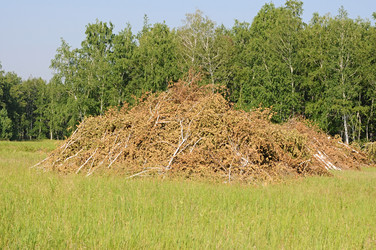 Similar image 1355903