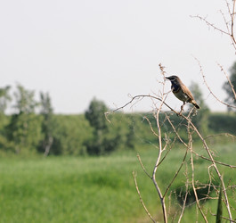 Similar image 1355910