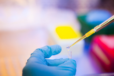 Similar image 1355934