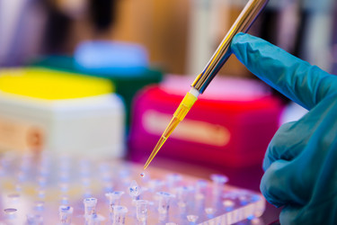 Similar image 1355935