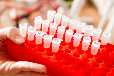 Similar image 1355936