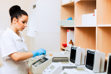 Similar image 1355939