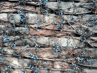 Similar image 1355993