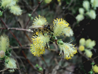 Similar image 1355994