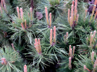 Similar image 1355998