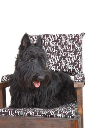 Similar image 1356020