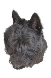 Similar image 1356021