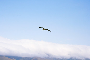 Similar image 1356084