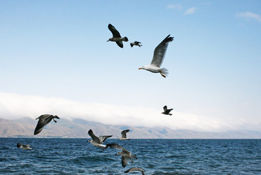 Similar image 1356093