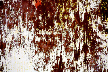 Similar image 1356230