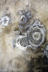 Similar image 1356233