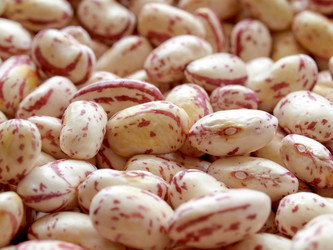 Similar image 1356279