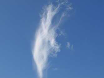 Similar image 1356289