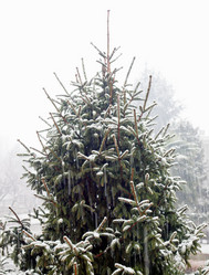 Similar image 1356310