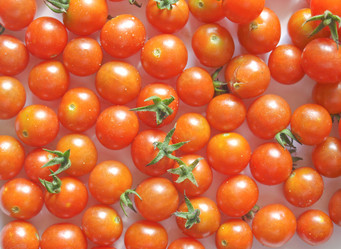 Similar image 1356338